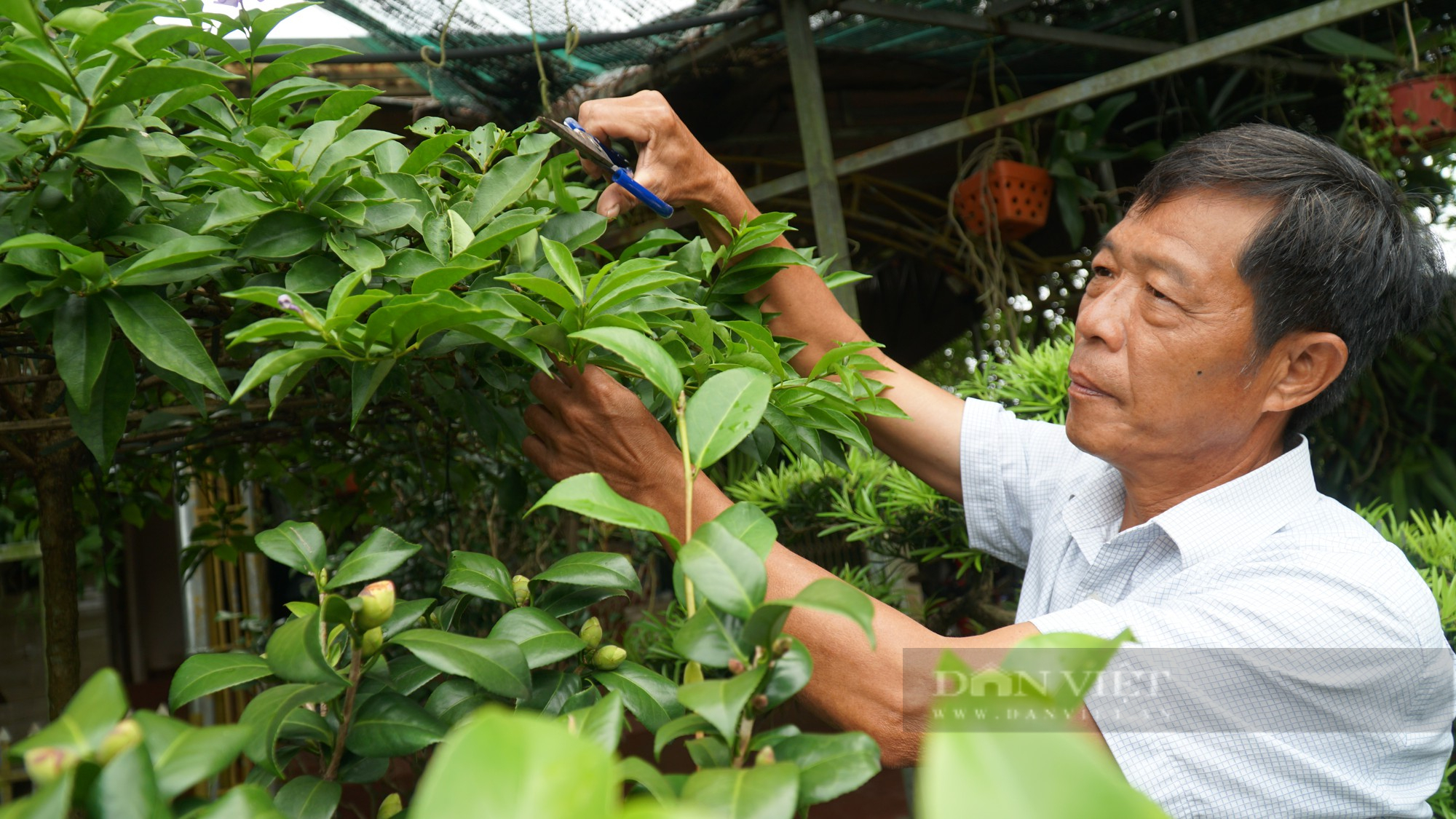 Nông dân Việt Nam xuất sắc 2022 là &quot;người giữ lửa&quot; cho nghề trồng hoa, cây cảnh ở đất Mỹ Tân (Hà Giang) - Ảnh 6.