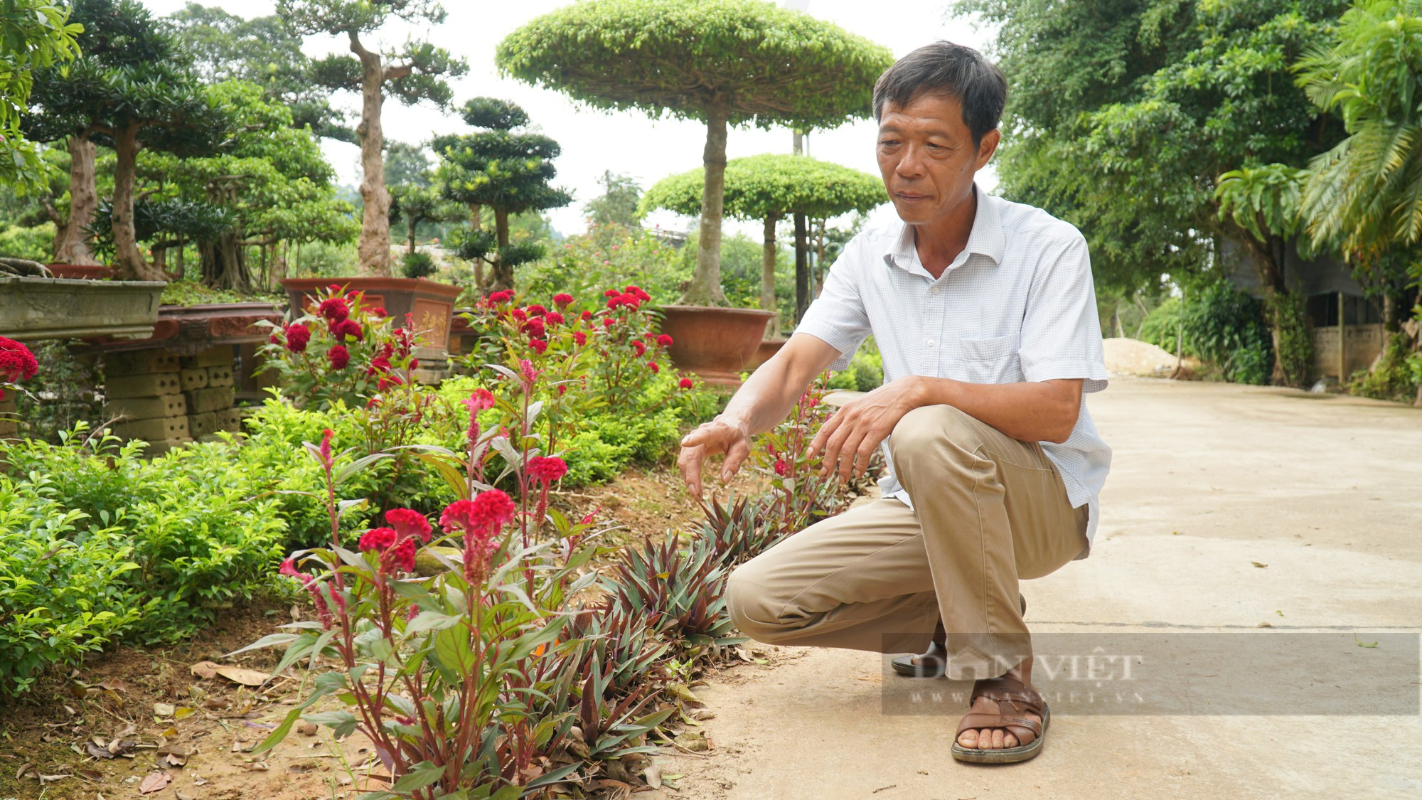 Nông dân Việt Nam xuất sắc 2022 là &quot;người giữ lửa&quot; cho nghề trồng hoa, cây cảnh ở đất Mỹ Tân (Hà Giang) - Ảnh 5.