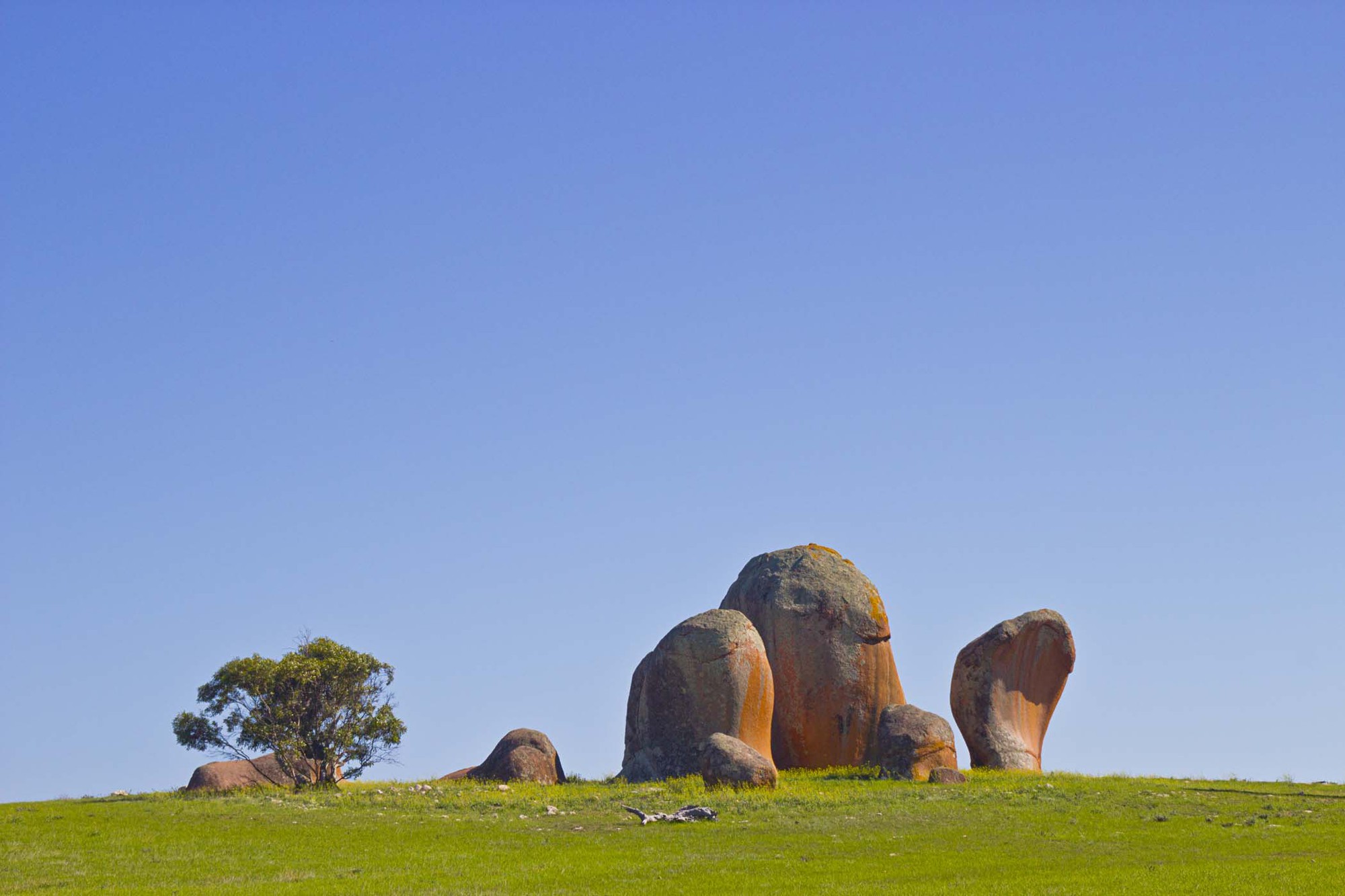 Kỳ lạ với khối đá biến thành &quot;ụ rơm&quot; màu hồng ở phía Nam nước Úc - Ảnh 3.