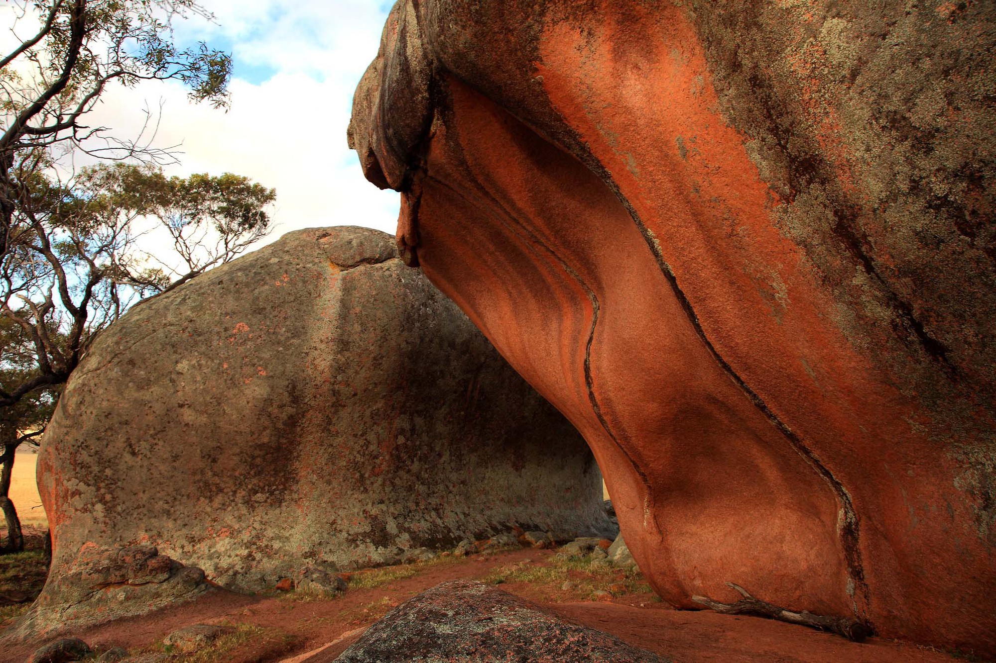 Kỳ lạ với khối đá biến thành &quot;ụ rơm&quot; màu hồng ở phía Nam nước Úc - Ảnh 5.
