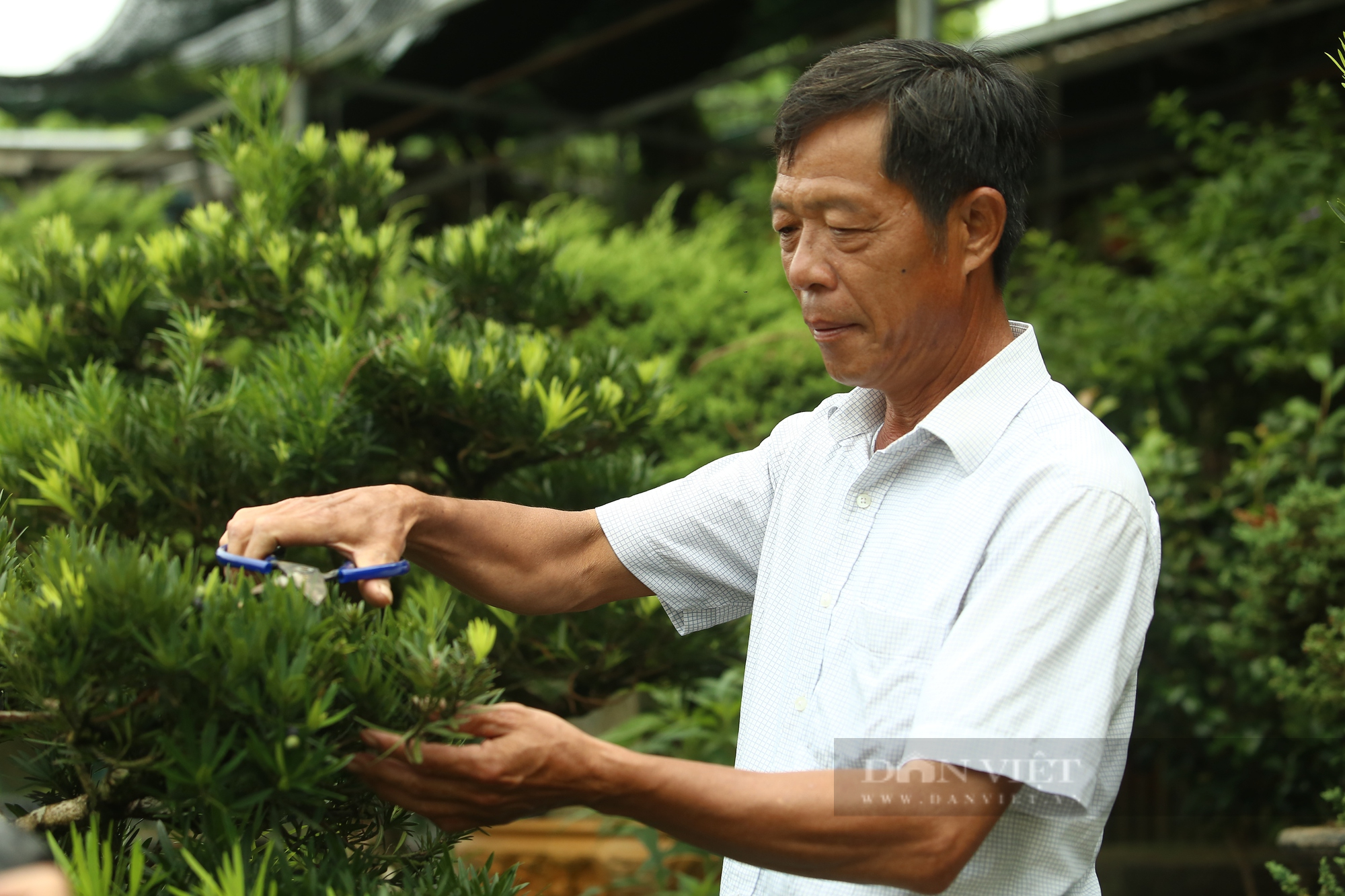 Nông dân Việt Nam xuất sắc 2022 là &quot;người giữ lửa&quot; cho nghề trồng hoa, cây cảnh ở đất Mỹ Tân (Hà Giang) - Ảnh 3.