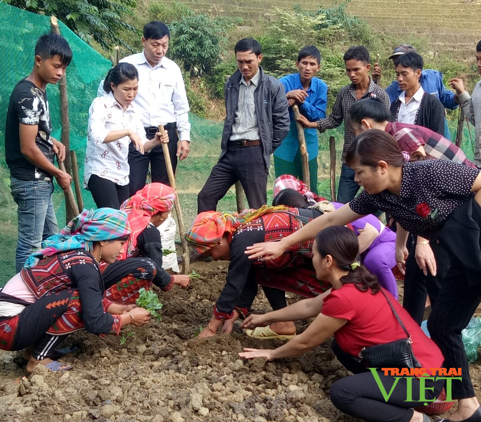 Lào Cai hỗ trợ người dân phát triển nông nghiệp - Ảnh 1.