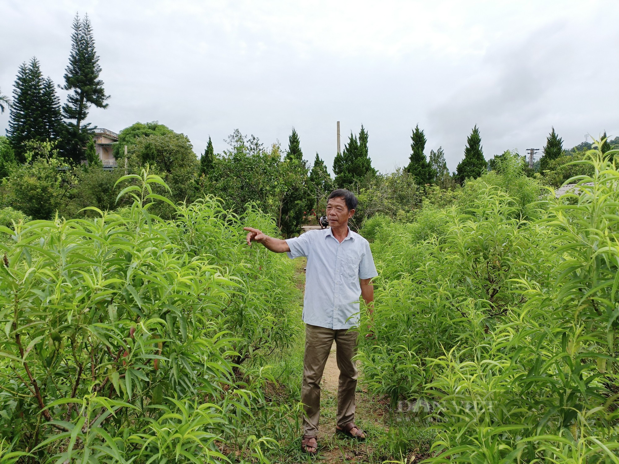 Nông dân Việt Nam xuất sắc 2022 là &quot;người giữ lửa&quot; nơi mảnh đất Tân Quang (Hà Giang) có nhiều tỷ phú nông dân - Ảnh 2.