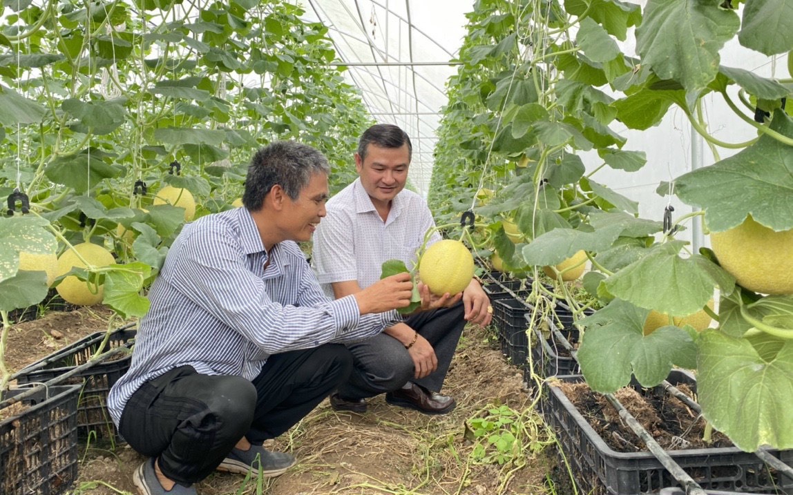 Giá trị sản xuất đạt 22.800 tỷ đồng, ngành nông nghiệp Đồng Nai tăng trưởng cao nhất khu vực Đông Nam Bộ 