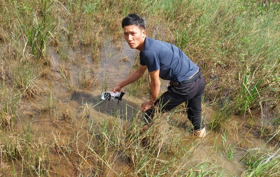 Vụ vườn sầu riêng bị cưa trộm ở Lâm Đồng: Công an làm việc với em trai của chủ vườn - Ảnh 2.