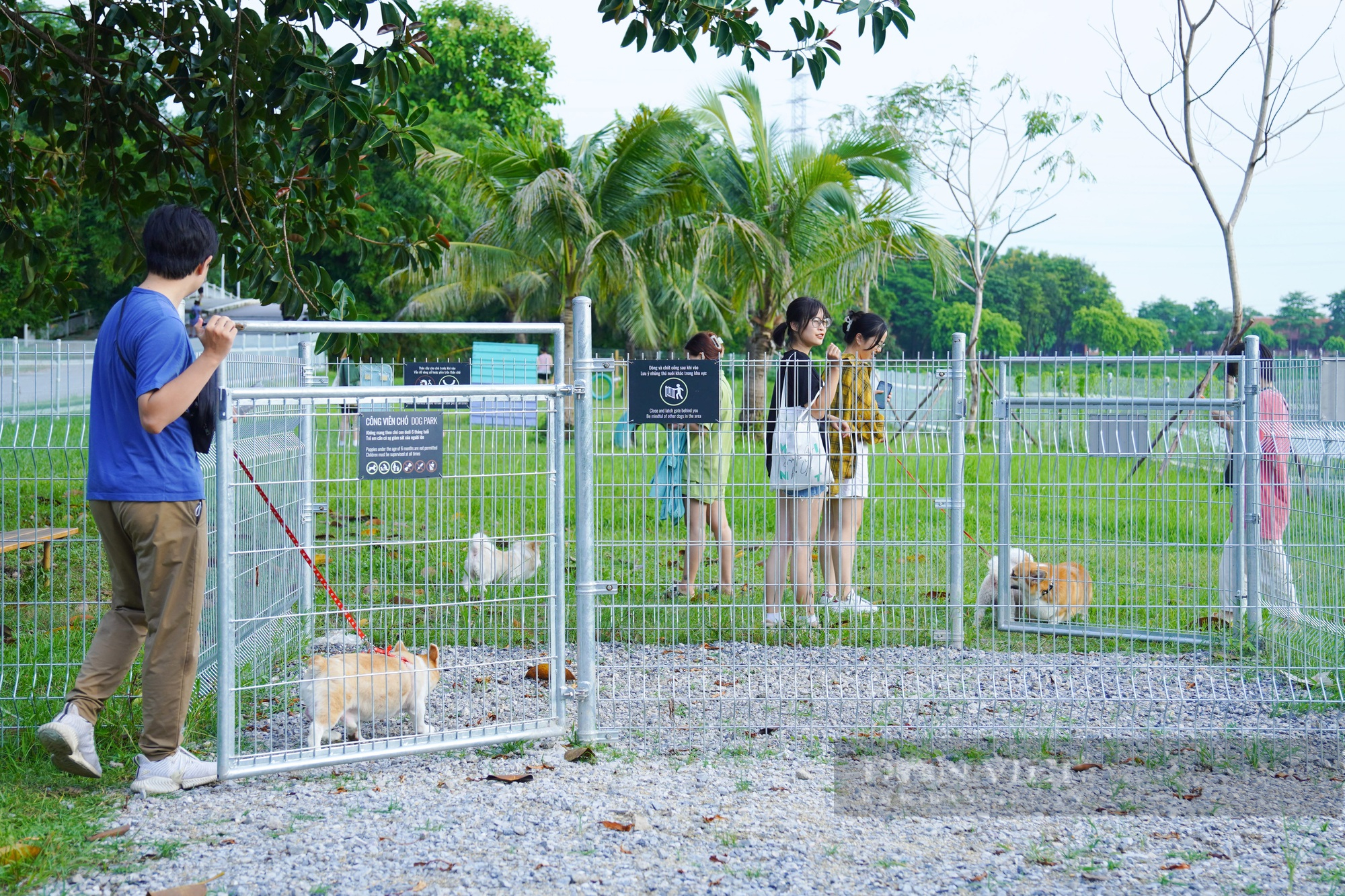 Khám phá bên trong công viên thú cưng đầu tiên ở Hà Nội - Ảnh 3.