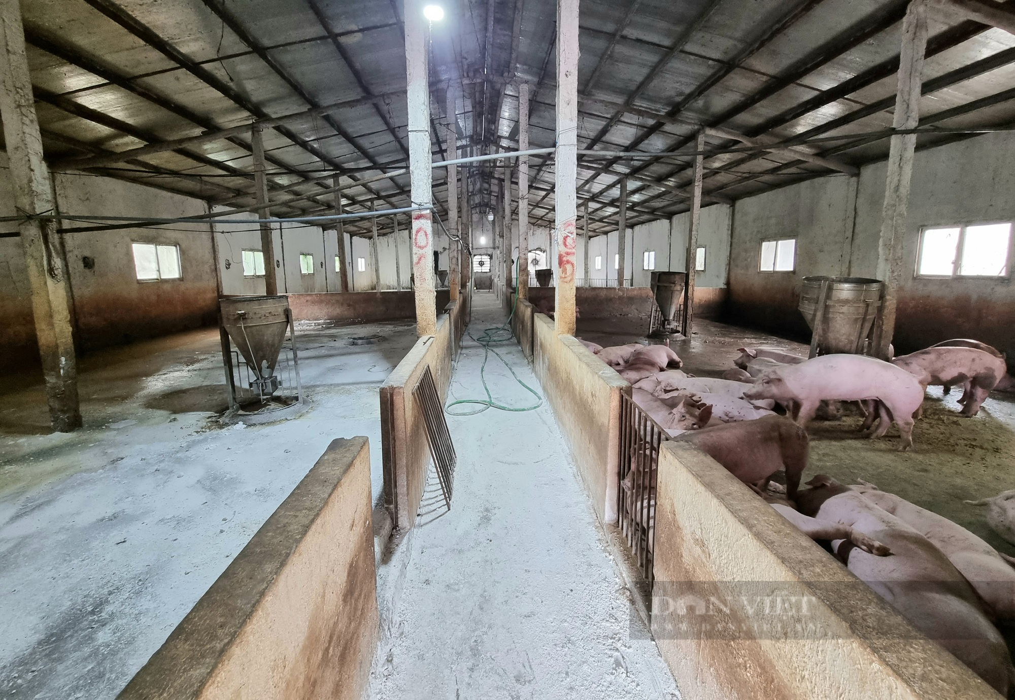 Gần nửa tháng nông dân Yên Mô phản đối trại lợn gây hôi thối - Ảnh 3.