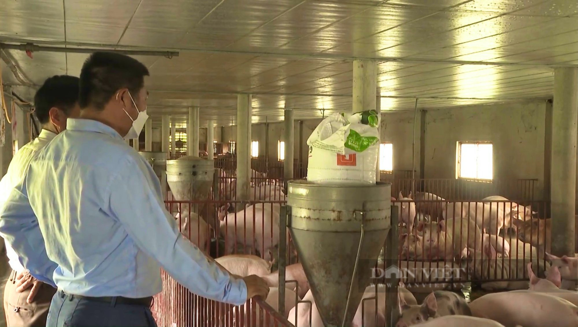 Nông dân Việt Nam xuất sắc 2022 đến từ Quảng Bình là người áp dụng công nghệ vào nuôi tôm, nuôi lợn thu 9 tỷ/năm - Ảnh 5.