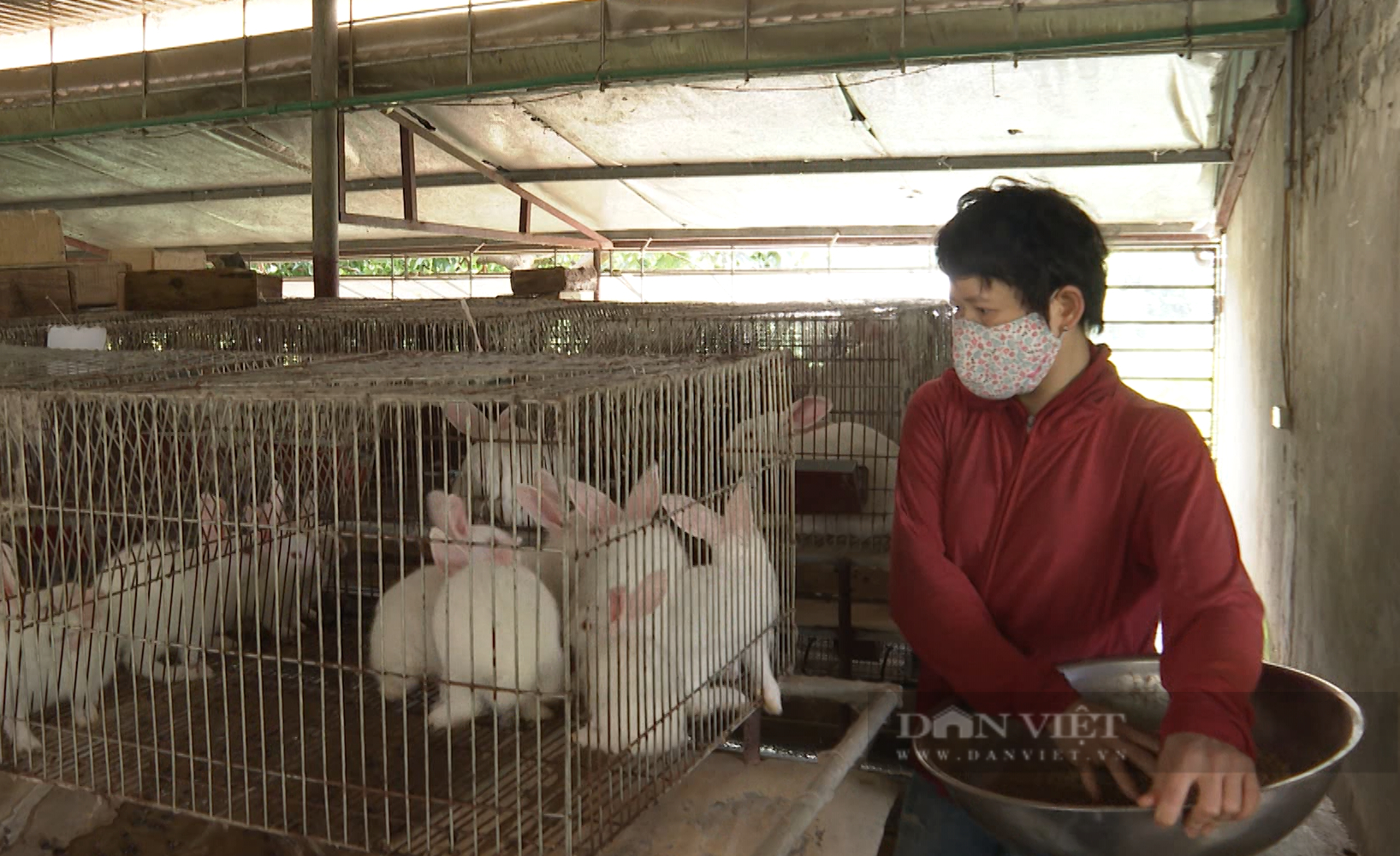 Nông dân Lai Châu trở thành tỷ phú nhờ mô hình chăn nuôi tổng hợp - Ảnh 5.