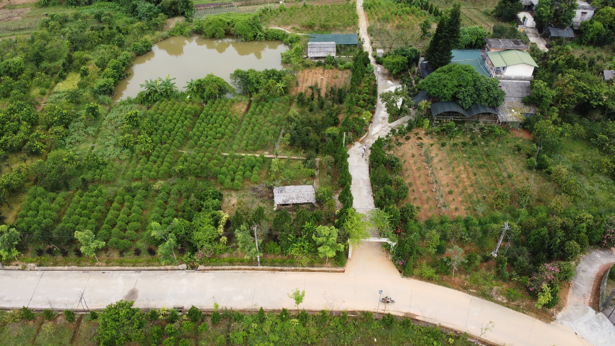 Hà Giang: Cả làng làm nghề trồng cây cảnh, trồng hoa, nhiều nông dân là tỷ phú - Ảnh 2.