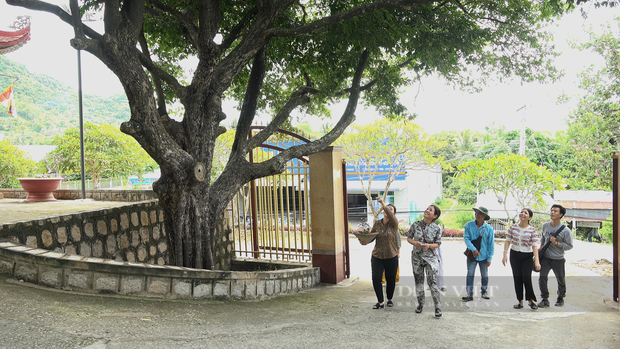 Ghé thăm ngôi chùa &quot;thơm&quot; nhất xứ Tịnh Biên với hàng cây đặc biệt sống qua 2 thế kỷ  - Ảnh 4.