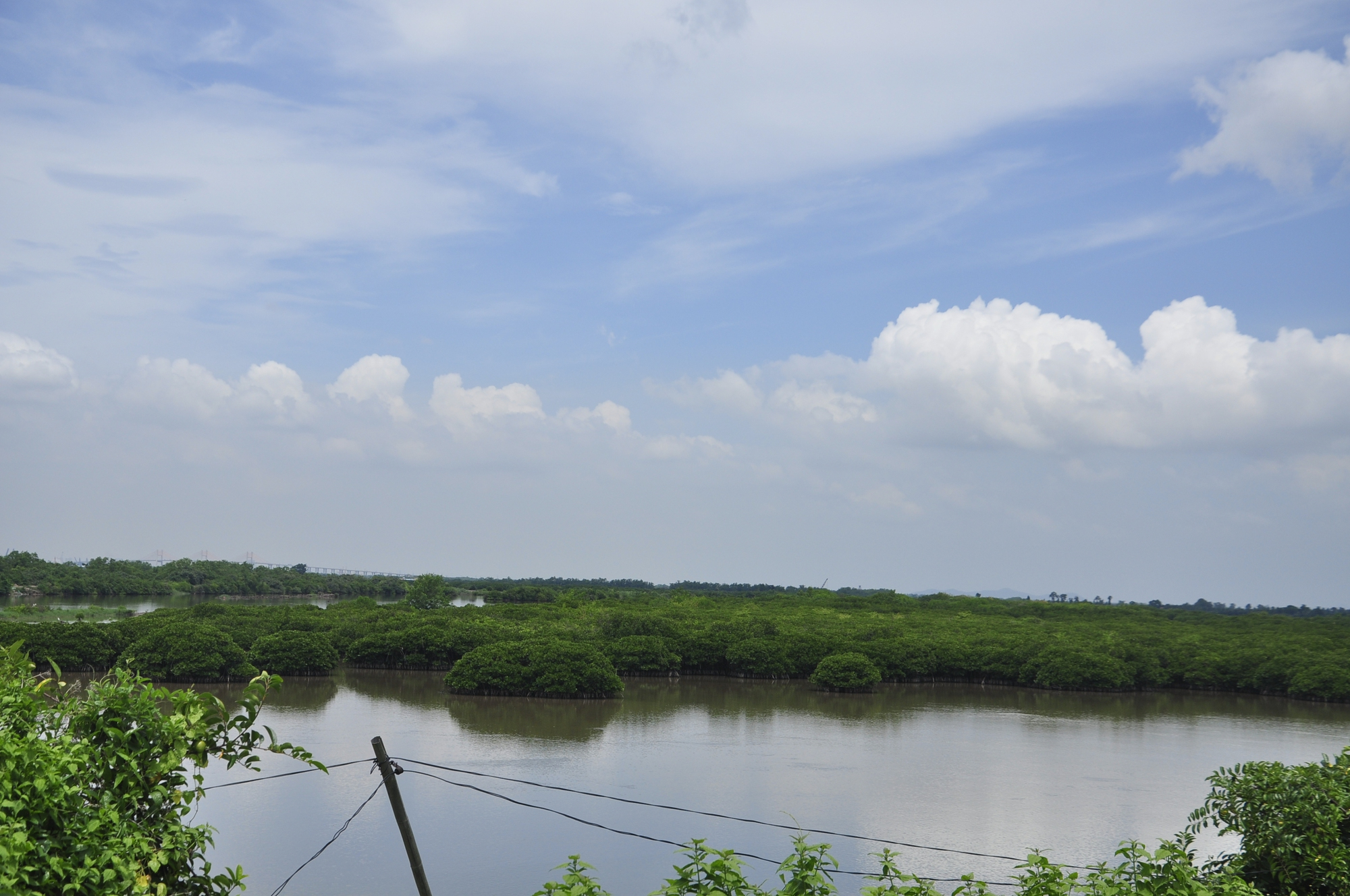 Quảng Ninh: Chi hội trưởng nông dân nuôi tôm sú, cua biển mát tay có tiếng, giúp bà con cùng làm giàu - Ảnh 1.