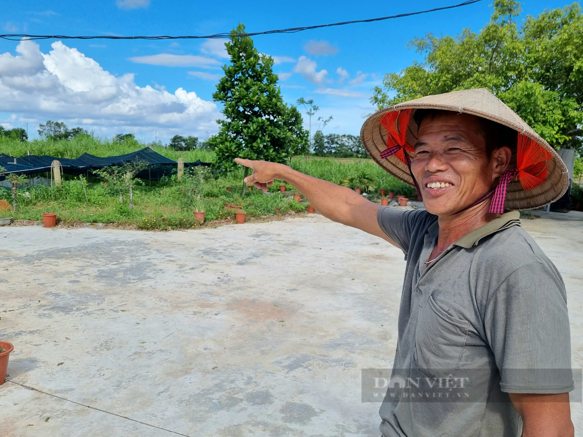 Nuôi con ốc nhồi cho ăn lá cây đu đủ, nông dân Ninh Bình lãi 300 triệu đồng/năm - Ảnh 2.