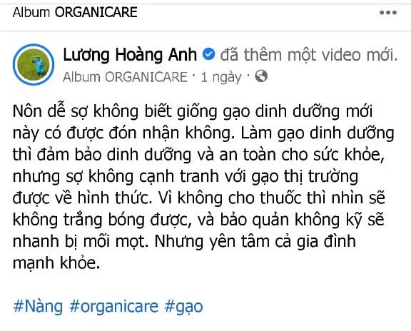 Facebooker Lương Hoàng Anh âm thầm xóa các bài viết chê gạo thị trường có thuốc? - Ảnh 2.