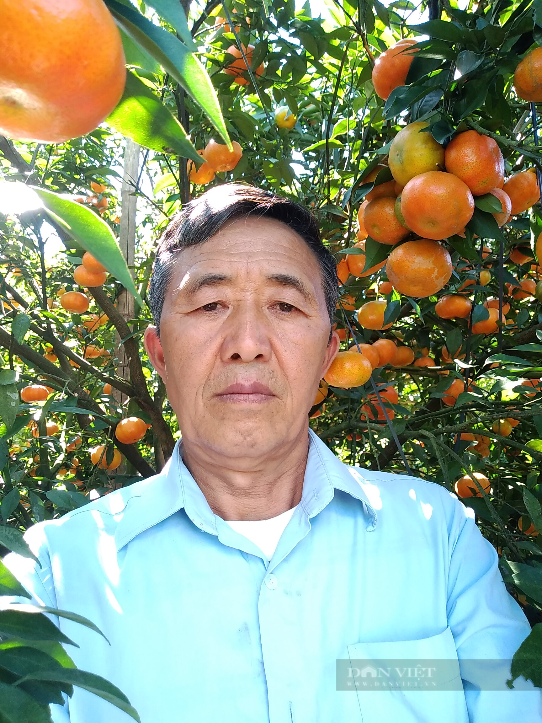 Nông dân người Mông Sơn La ăn củ mài từ bé, nay thành Nông dân Việt Nam xuất sắc 2022 nhờ trồng cây ăn quả - Ảnh 3.