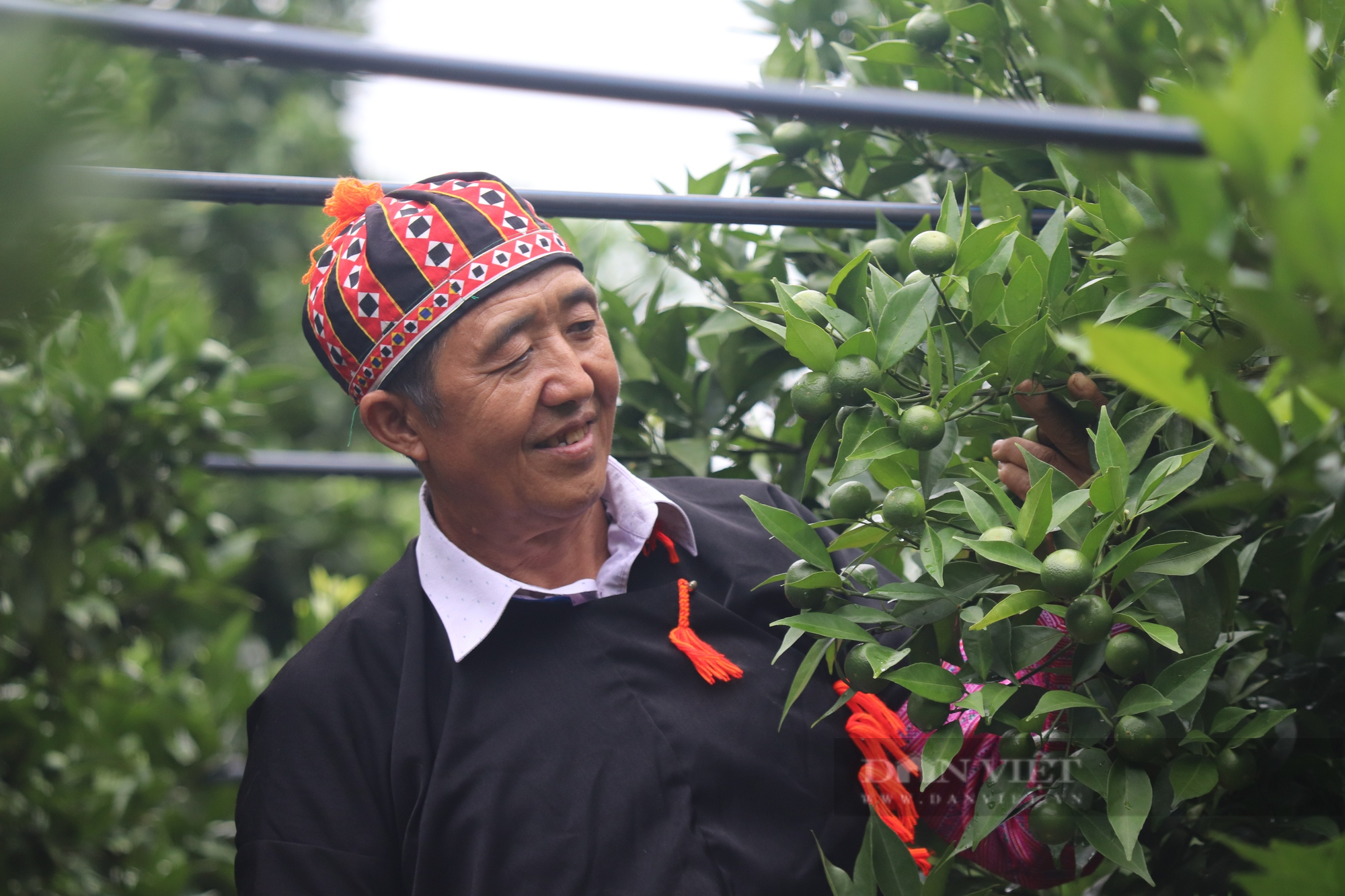 Nông dân người Mông Sơn La ăn củ mài từ bé, nay thành Nông dân Việt Nam xuất sắc 2022 nhờ trồng cây ăn quả - Ảnh 2.