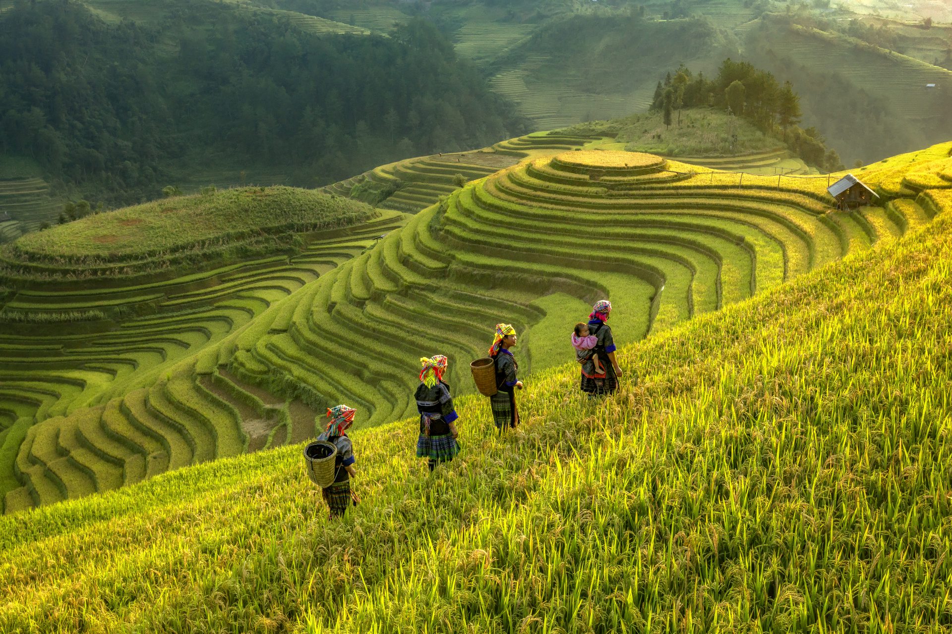 Du lịch nông thôn (Bài cuối): Phải cho du khách trải nghiệm làm nông nghiệp đúng nghĩa - Ảnh 2.