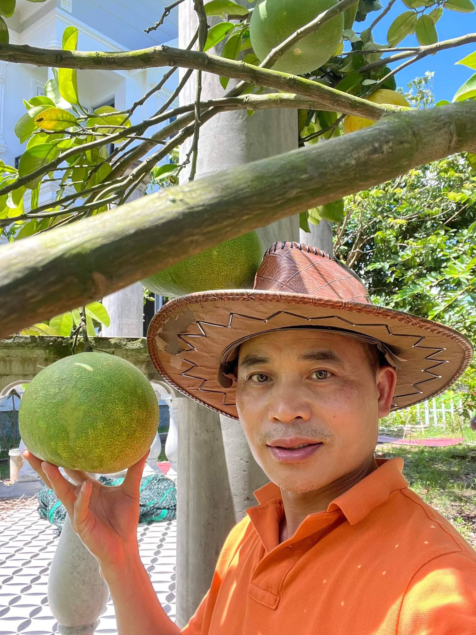 Ngỡ ngàng vườn rau “di động” siêu đầy đủ rau Việt của người đàn ông gốc Việt ở Anh - Ảnh 12.