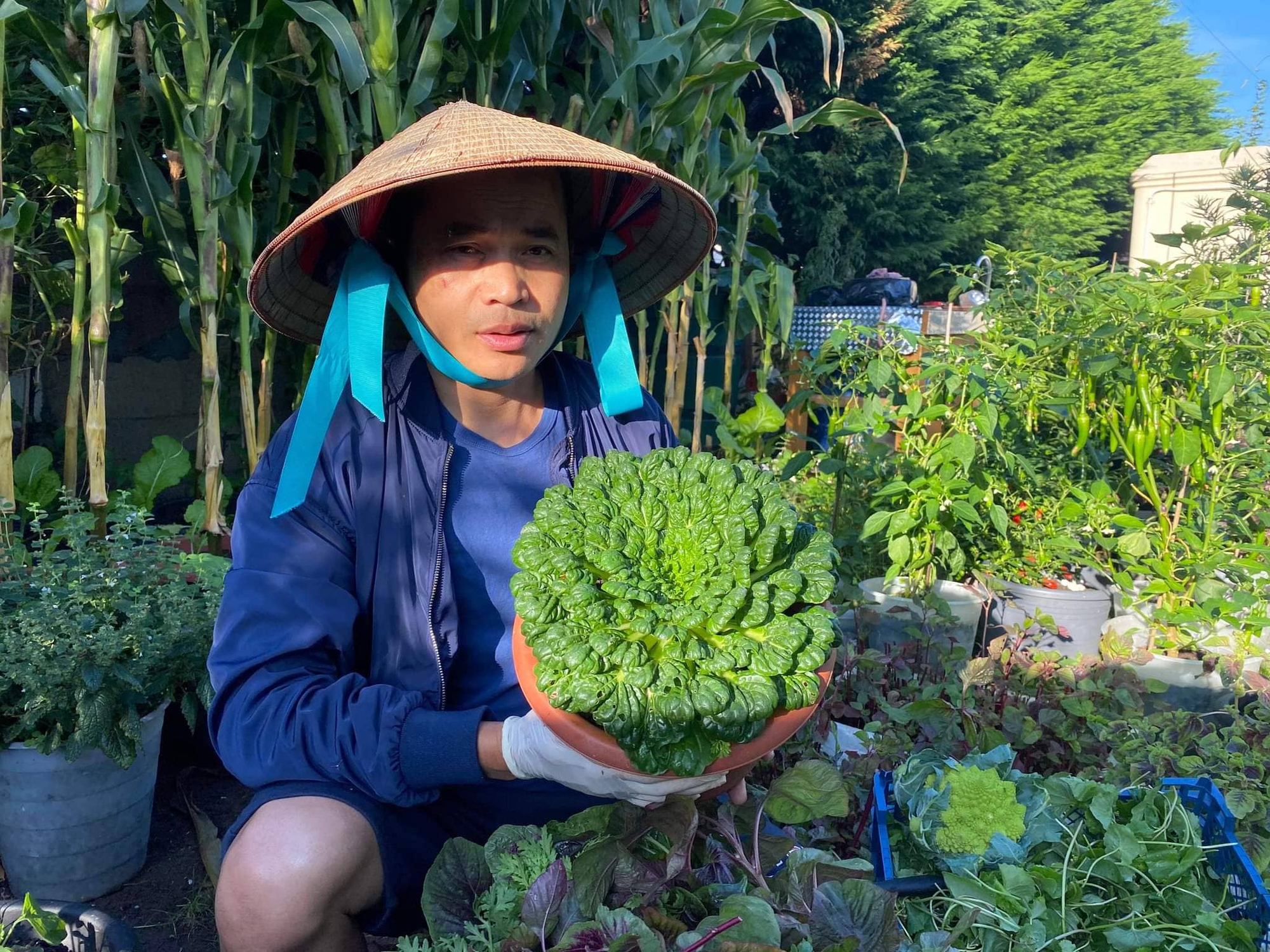 Ngỡ ngàng vườn rau “di động” siêu đầy đủ rau Việt của người đàn ông gốc Việt ở Anh - Ảnh 11.