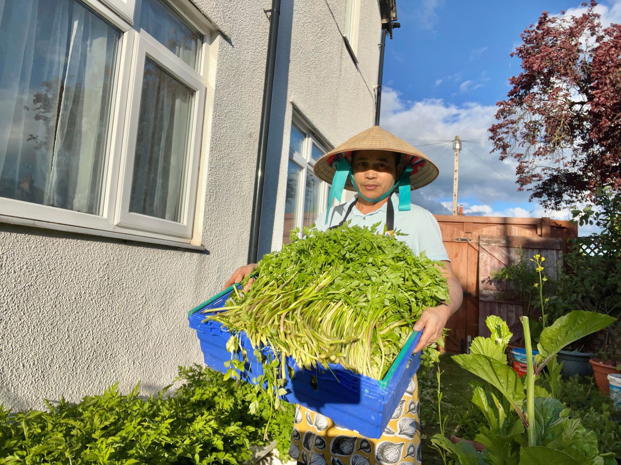 Ngỡ ngàng vườn rau “di động” siêu đầy đủ rau Việt của người đàn ông gốc Việt ở Anh - Ảnh 1.
