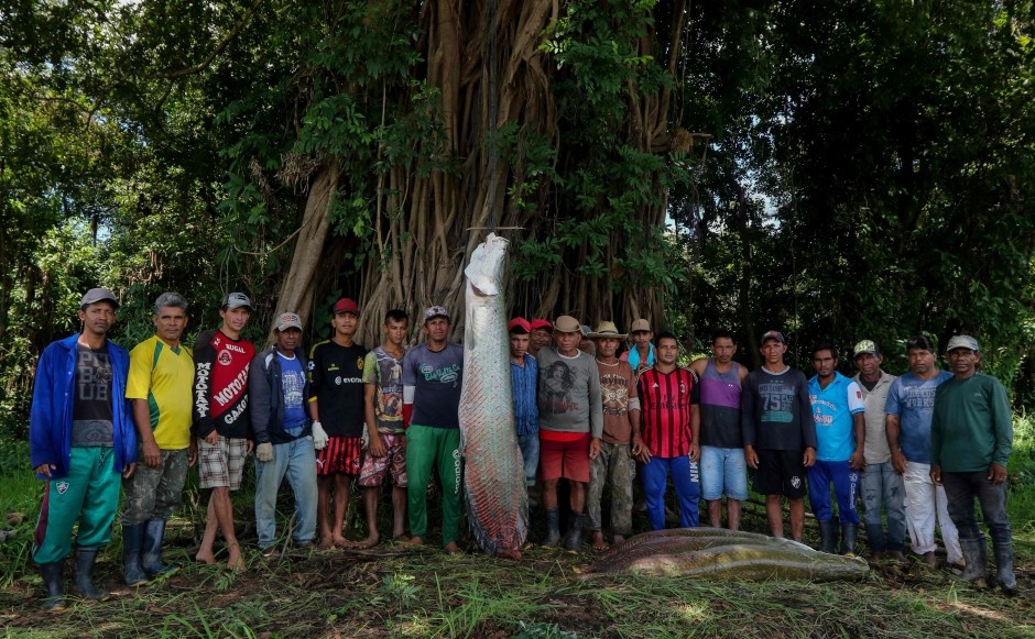 Nhiều thợ săn chật vật &quot;thu phục&quot; thủy quái cá hải tượng long khổng lồ ở vùng châu thổ sông Amazon - Ảnh 6.