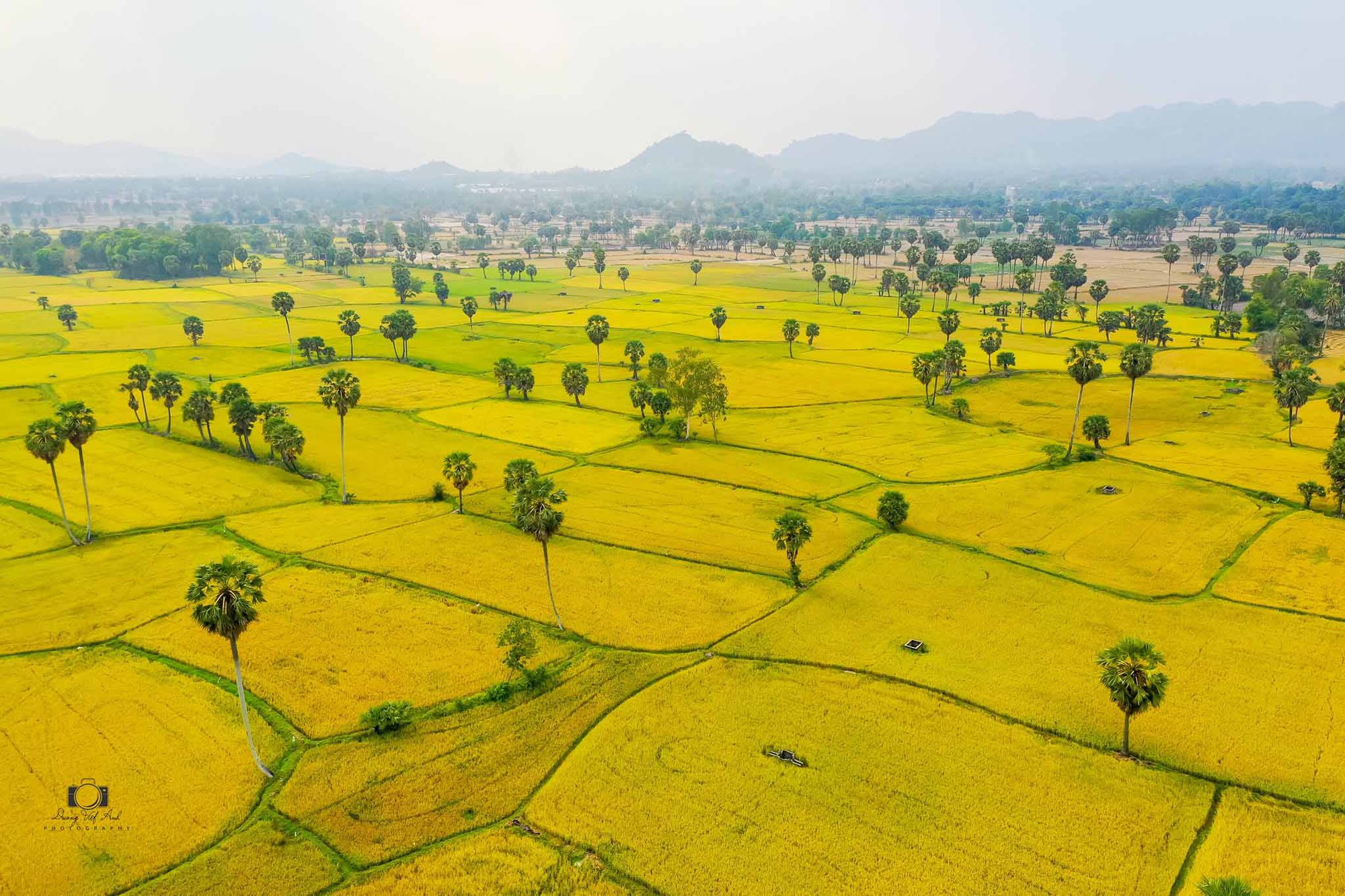 Cánh đồng Văn Giáo đẹp như cổ tích mùa lúa chín - Ảnh 3.