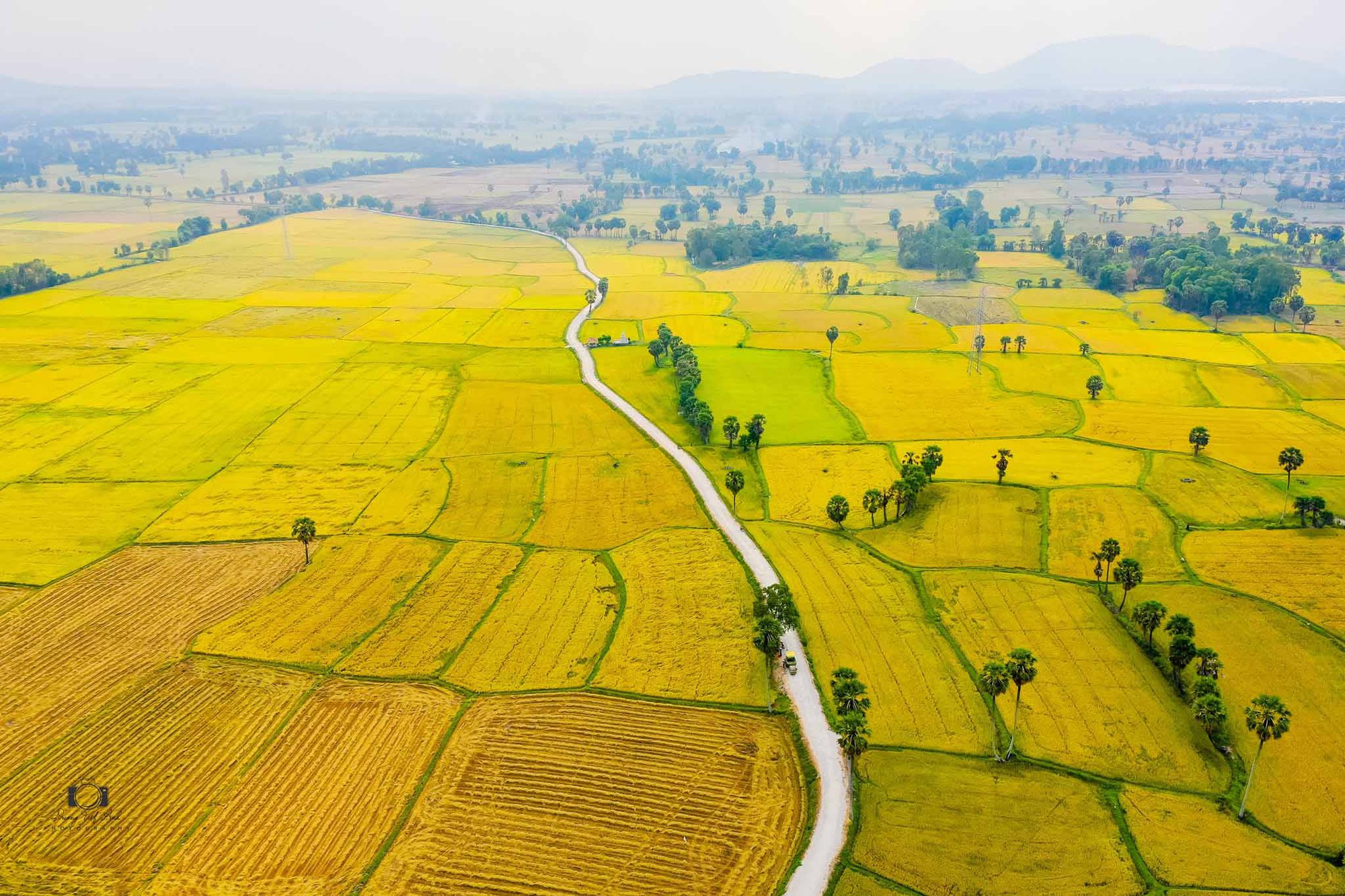 Cánh đồng Văn Giáo đẹp như cổ tích mùa lúa chín - Ảnh 8.