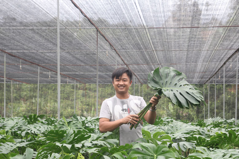 Tỷ phú nông dân Lâm Đồng có nụ cười tỏa nắng, giàu lên chỉ với mô hình trồng cây cảnh bán lá - Ảnh 2.