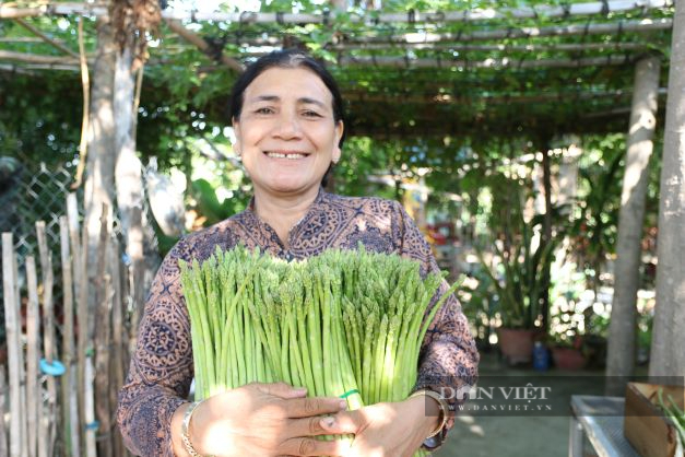 Nữ thủ lĩnh người Chăm ở Ninh Thuận phủ xanh đồi cát trắng, trở thành nông dân sản xuất giỏi năm 2022 - Ảnh 8.