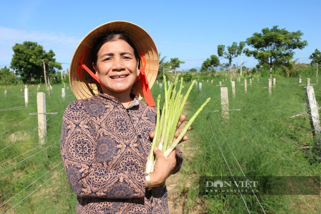 Nữ thủ lĩnh người Chăm ở Ninh Thuận phủ xanh đồi cát trắng, trở thành nông dân sản xuất giỏi năm 2022 - Ảnh 1.