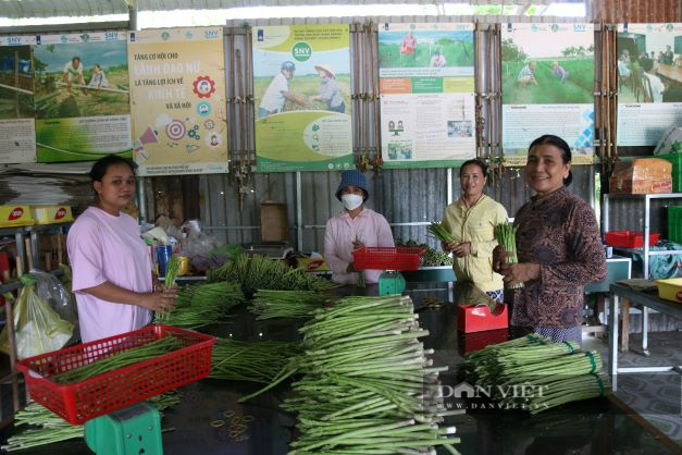 Nữ thủ lĩnh người Chăm ở Ninh Thuận phủ xanh đồi cát trắng, trở thành nông dân sản xuất giỏi năm 2022 - Ảnh 5.