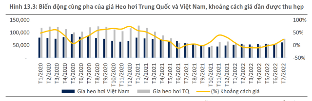 BSC: Giá heo hơi sẽ quanh mức 68.000-70.000 đồng trong năm 2023 - Ảnh 1.