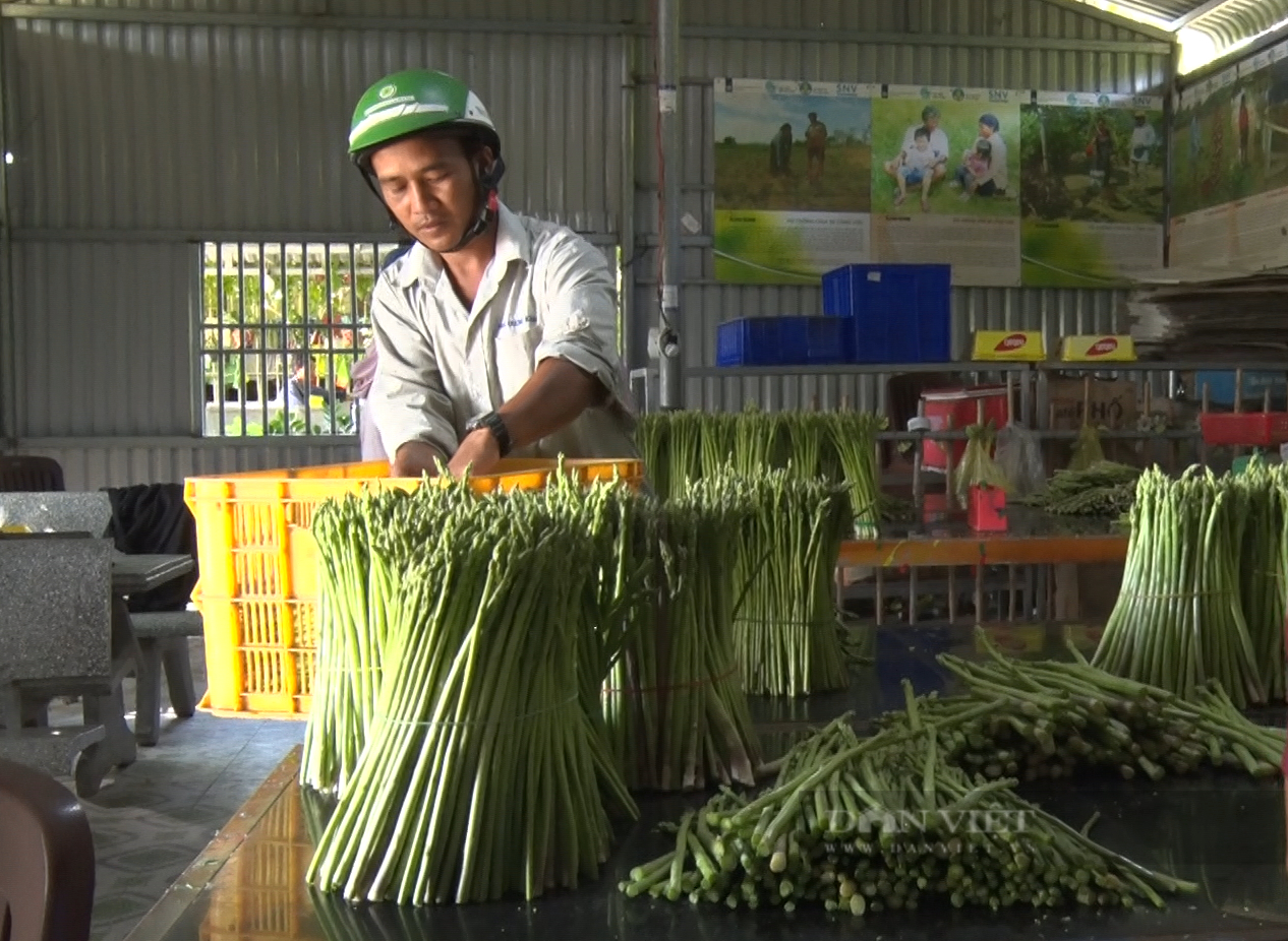 Nữ nông dân người Chăm ở Ninh Thuận phủ xanh đồi cát trắng, trở thành nông dân sản xuất giỏi năm 2022 - Ảnh 14.