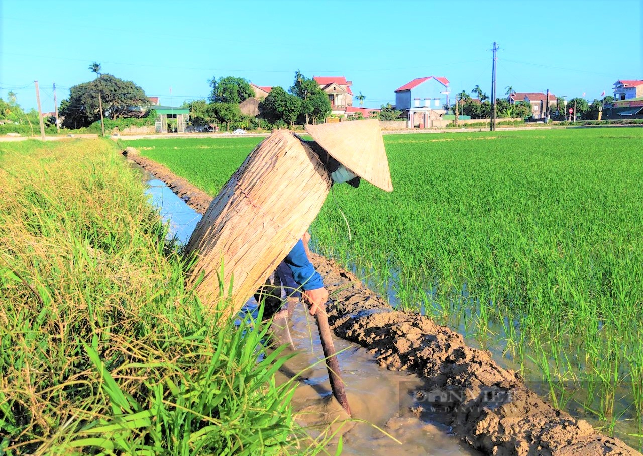 Độc đáo làng nghề chằm áo tơi 200 năm ở Hà Tĩnh, “bùa hộ mệnh” mỗi khi nông dân ra đồng - Ảnh 7.