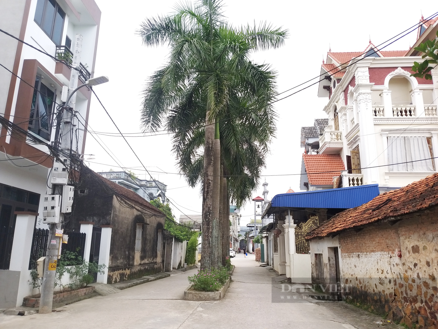 Sức sống mới trong đồng bào công giáo Chương Mỹ: &quot;Sạch từ nhà ra đồng&quot; ở họ đạo thôn Cầu (Bài 2) - Ảnh 2.