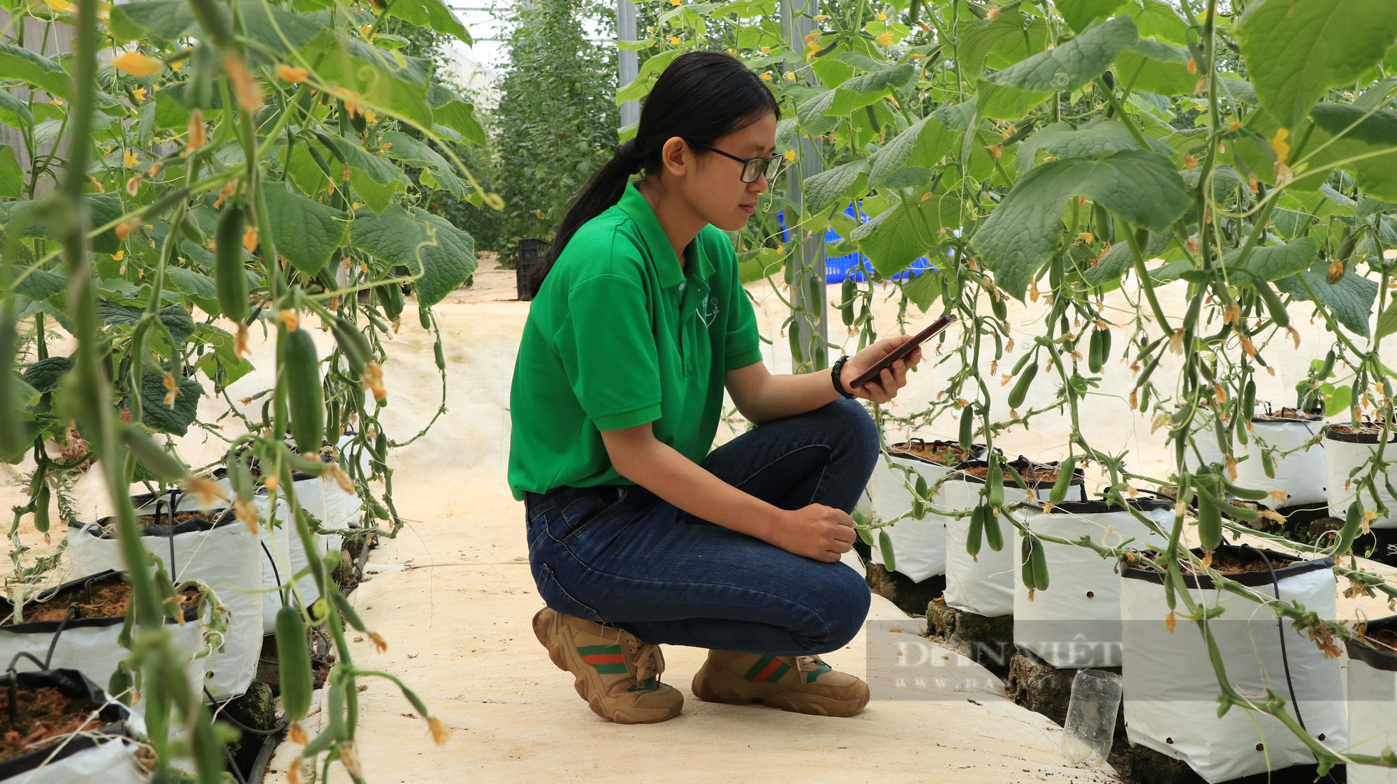 Nông dân Việt Nam xuất sắc 2022 tại Lâm Đồng, “ngồi uống cà phê” cũng tưới được rau trong vườn - Ảnh 4.