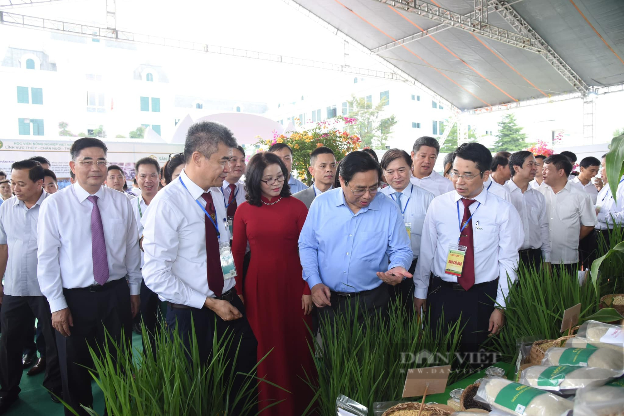 Thủ tướng Phạm Minh Chính kỳ vọng Việt Nam sẽ có trường đại học hàng đầu thế giới về nông nghiệp - Ảnh 2.