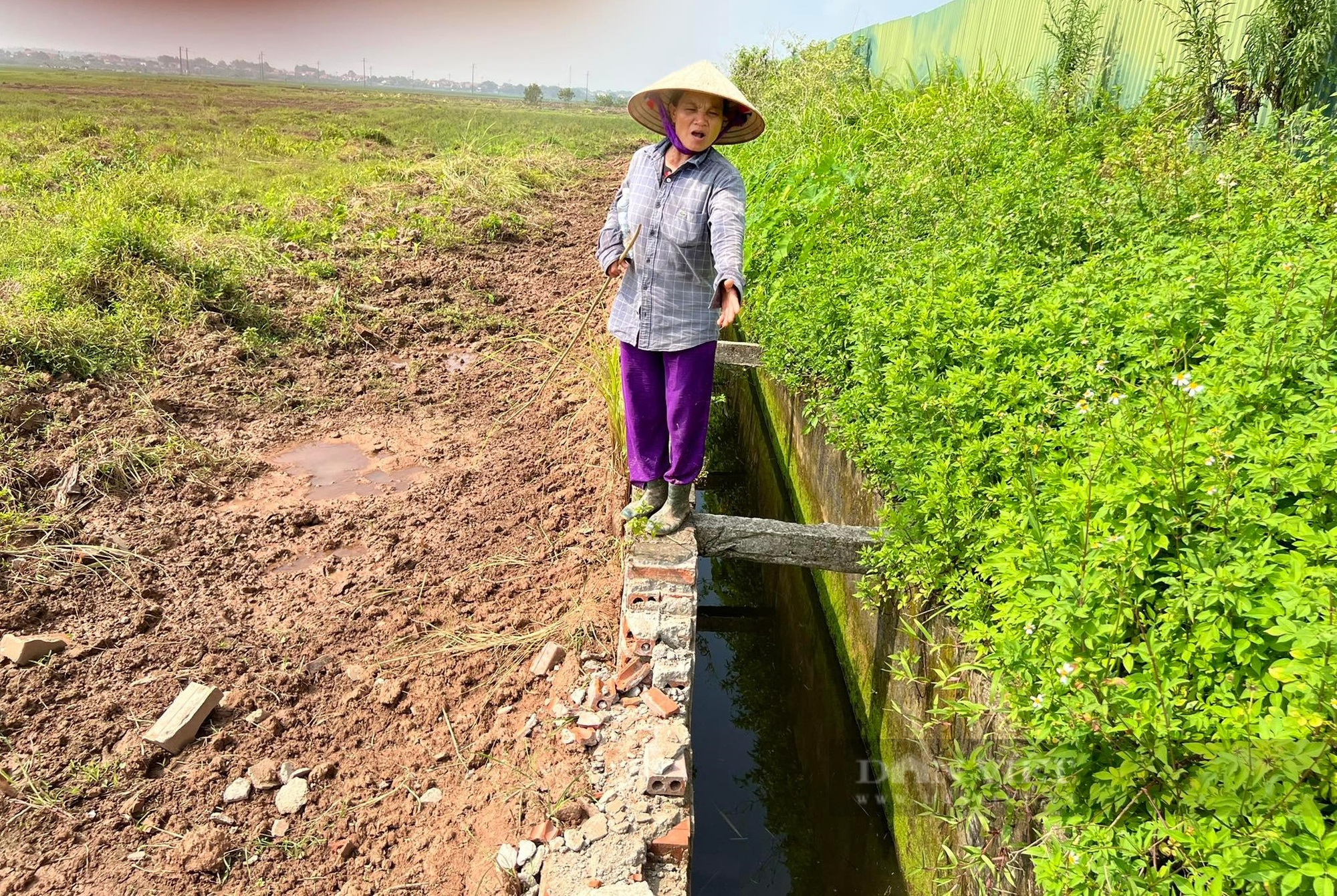 Kênh thủy lợi Hồng Đà bị phá hủy: “Trên bảo dưới không nghe”, người nông dân vẫn không có nước tưới tiêu - Ảnh 3.