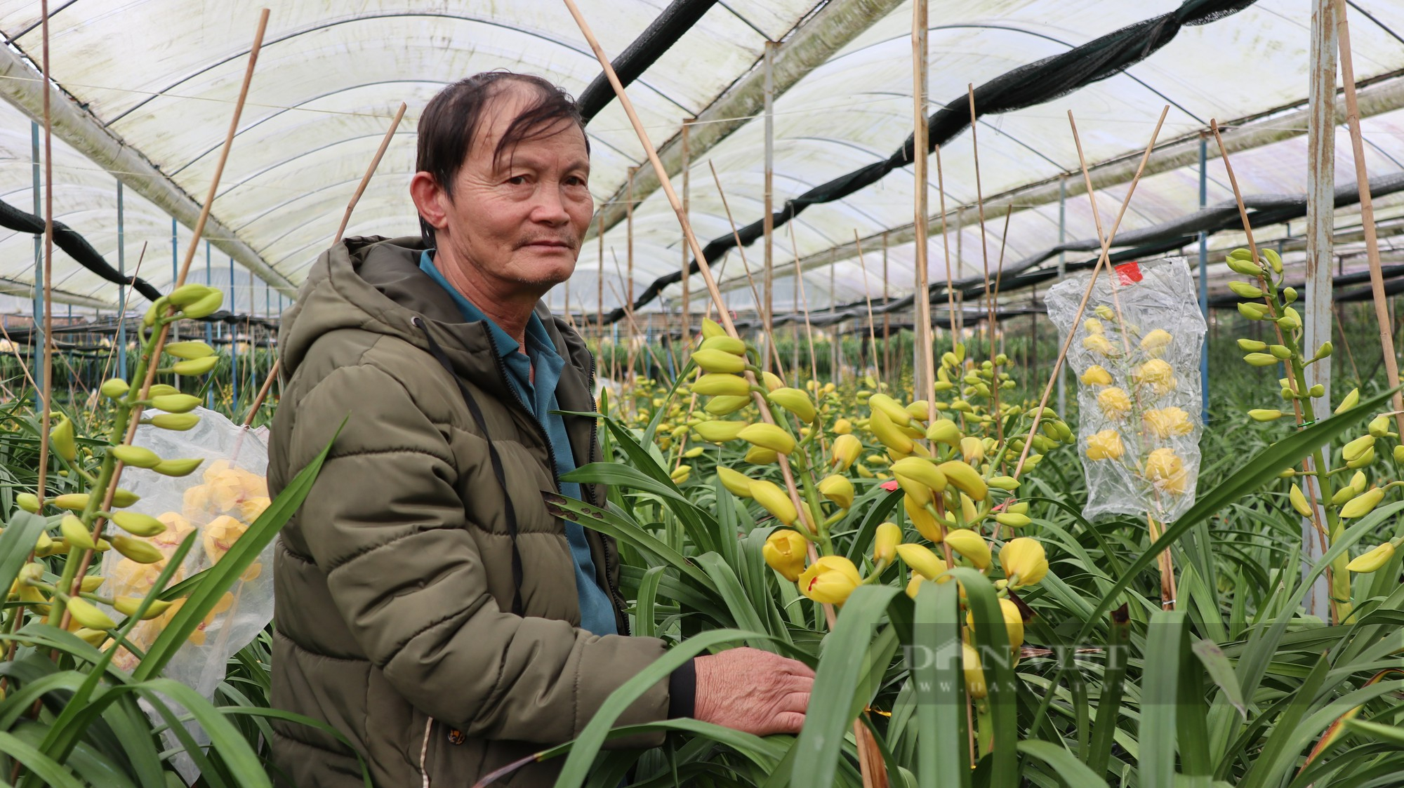 Phong trào Nông dân sản xuất kinh doanh giỏi: Hàng ngàn hộ dân ở Lâm Đồng vươn lên làm giàu chính đáng - Ảnh 2.