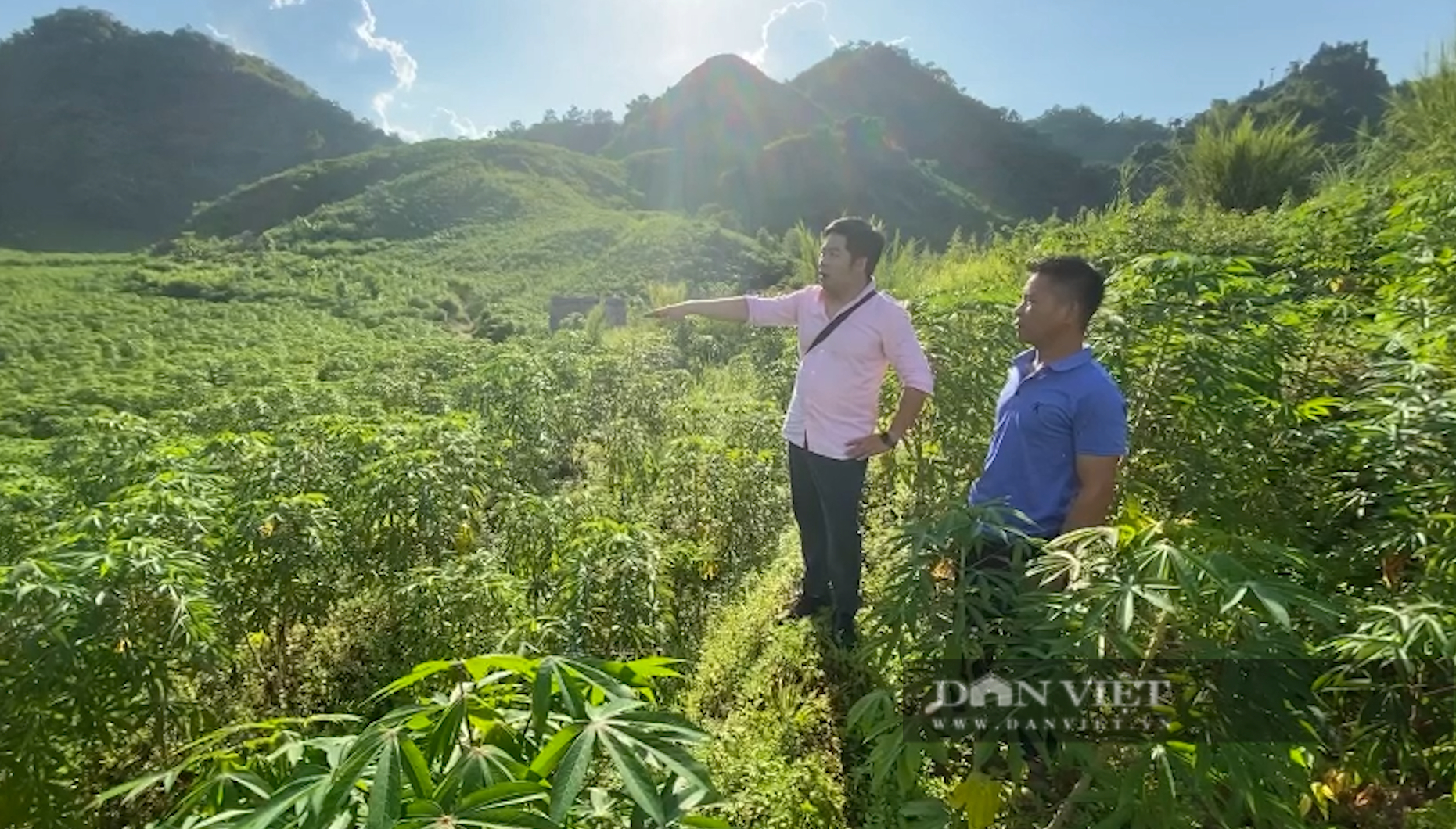 Nông dân Lai Châu nỗ lực phát triển kinh tế, xoá đói giảm nghèo - Ảnh 5.