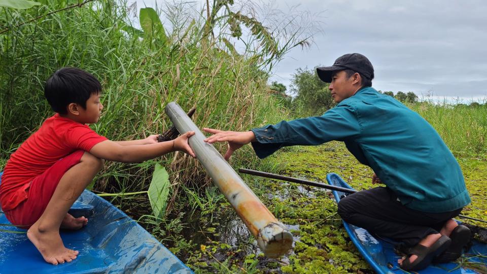 Sản vật rừng U Minh Hạ, xem dân đặt trúm bắt lươn đồng to, ngắm xương cá sấu 300kg đào được gần biển - Ảnh 7.