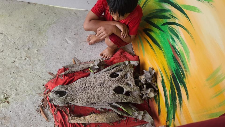 Sản vật rừng U Minh Hạ, xem dân đặt trúm bắt lươn đồng to, ngắm xương cá sấu 300kg đào được gần biển - Ảnh 2.