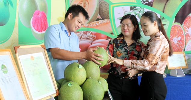 Huyện Phú Giáo ở Bình Dương phát triển du lịch nông nghiệp công nghệ cao với làng thông minh