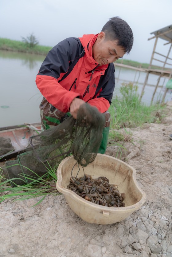 Vợ chồng nông dân bảo vệ chim trời ở phá Hạc Hải   - Ảnh 4.