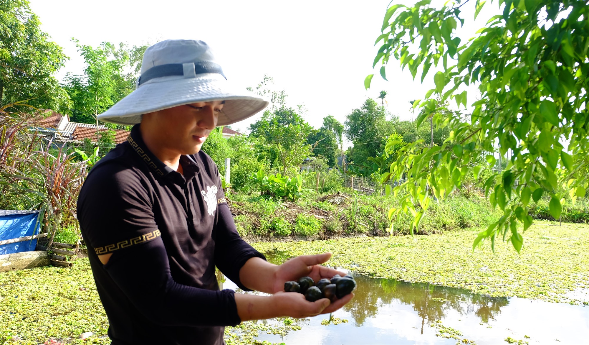 Trai làng Quảng Nam phát tài nhờ mô hình nuôi cá bảy màu, nuôi ốc bươu đen đặc sản trong bể lót bạt - Ảnh 7.