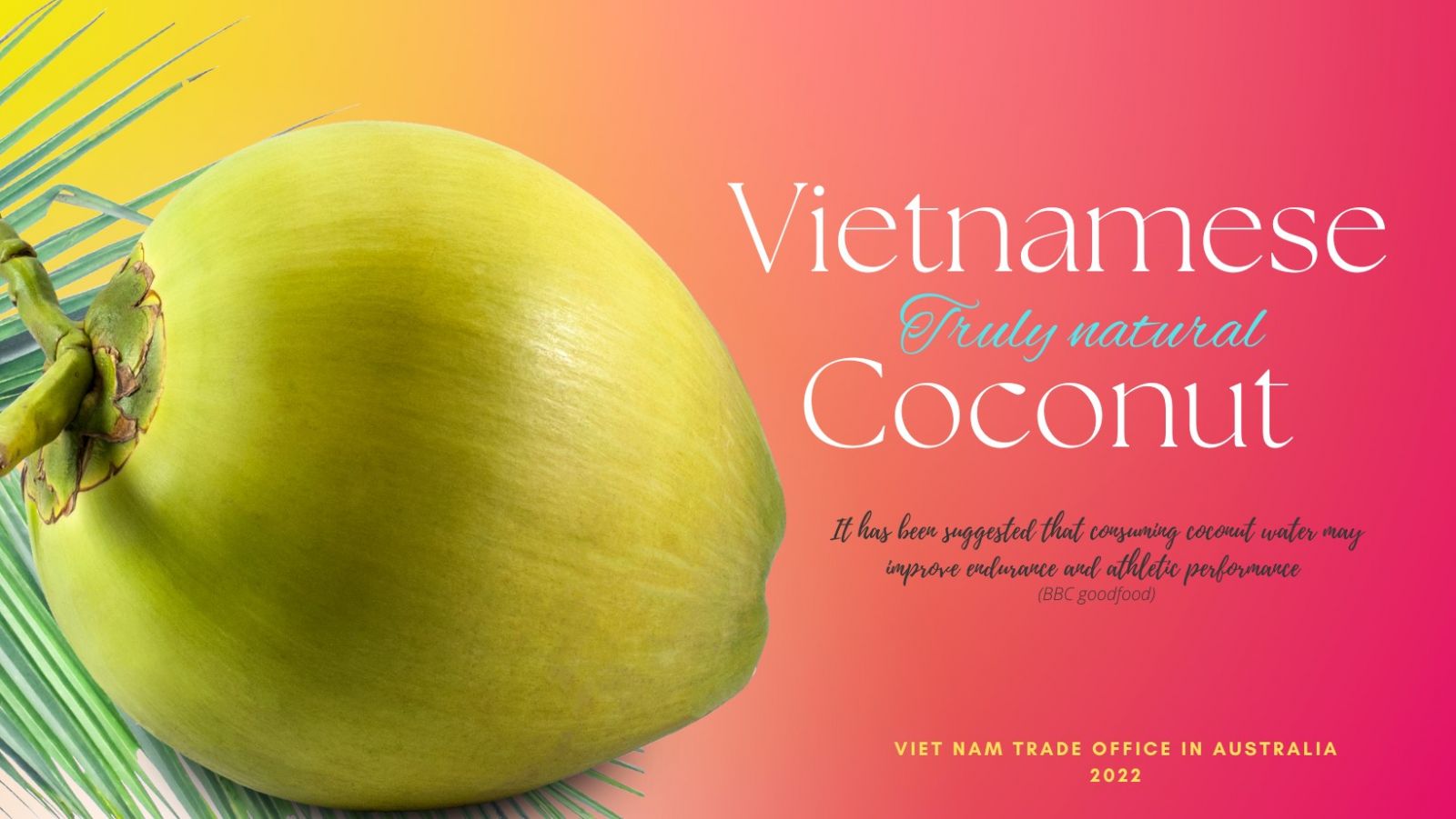 Bất ngờ: Một thứ phụ phẩm của quả dừa Việt Nam đắt hàng ở Úc, xuất khẩu tăng 272% - Ảnh 1.