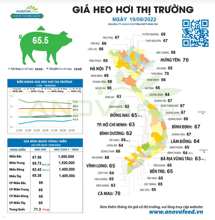 Giá lợn hơi ngày 19/8, cao nhất 71.000 đồng/kg, người chăn nuôi khó đoán trước được tình thế - Ảnh 1.