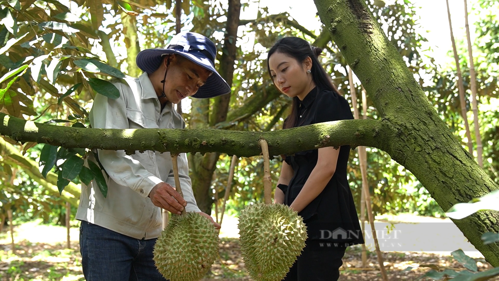 Nông dân Việt Nam xuất sắc 2022 ở Lâm Đồng trồng loại quả được xuất khẩu chính ngạch, lợi nhuận hàng tỷ/năm - Ảnh 4.