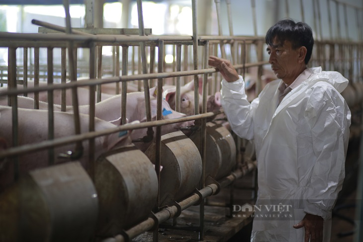 Lão nông xứ Quảng nuôi con ăn no rồi ngáy khò khò, mỗi năm thu 20 tỷ đồng - Ảnh 3.
