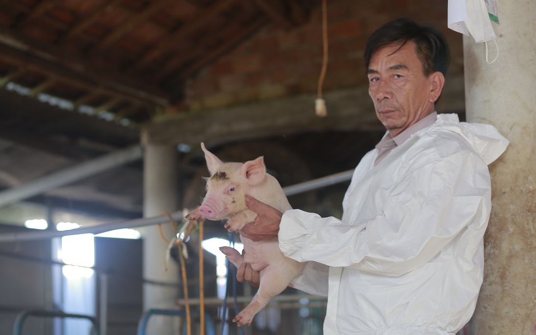Một tỷ phú nuôi heo ở Quảng Nam, doanh thu 20 tỷ/năm đạt danh hiệu &quot;Nông dân Việt Nam xuất sắc 2022&quot;
